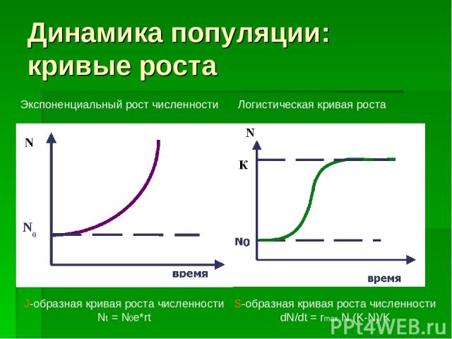 Динамика популяции: кривые роста J-образная кривая роста численности Nt = N0e*rt S-образная кривая роста численности dN/dt = rmax N (K-N)/K Экспоненциальный рост численности Логистическая кривая роста