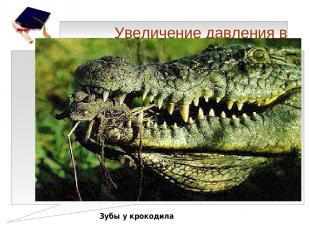 Увеличение давления в природе Зубы у крокодила