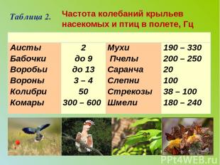 Таблица 2. Частота колебаний крыльев   насекомых и птиц в полете, Гц    Аисты Ба