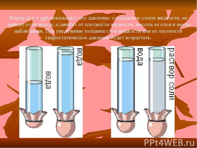 Формула p = qgh показывает, что давление, создаваемое слоем жидкости, не зависит от ее массы, а зависит от плотности жидкости, высоты ее слоя и места наблюдения. При увеличении толщины слоя жидкости или ее плотности гидростатическое давление будет в…