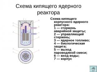 Схема кипящего ядерного реактора Схема кипящего корпусного ядерного реактора: 1 