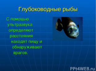 Глубоководные рыбы С помощью ультразвука определяют расстояния находят пищу и об