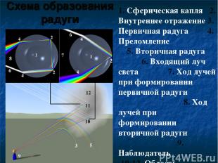 Схема образования радуги 1. Сферическая капля 2. Внутреннее отражение 3. Первичн
