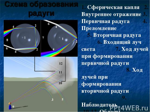 Схема образования радуги 1. Сферическая капля 2. Внутреннее отражение 3. Первичная радуга 4. Преломление 5. Вторичная радуга 6. Входящий луч света 7. Ход лучей при формировании первичной радуги 8. Ход лучей при формировании вторичной радуги 9. Наблю…