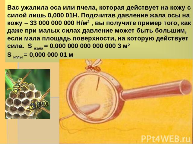 Вас ужалила оса или пчела, которая действует на кожу с силой лишь 0,000 01Н. Подсчитав давление жала осы на кожу – 33 000 000 000 Н/м2 , вы получите пример того, как даже при малых силах давление может быть большим, если мала площадь поверхности, на…
