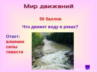 50 баллов Что движет воду в реках? Ответ: влияние силы тяжести
