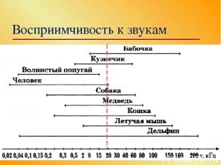 Восприимчивость к звукам