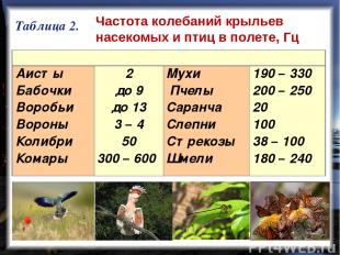 Таблица 2. Частота колебаний крыльев   насекомых и птиц в полете, Гц    Аисты Ба