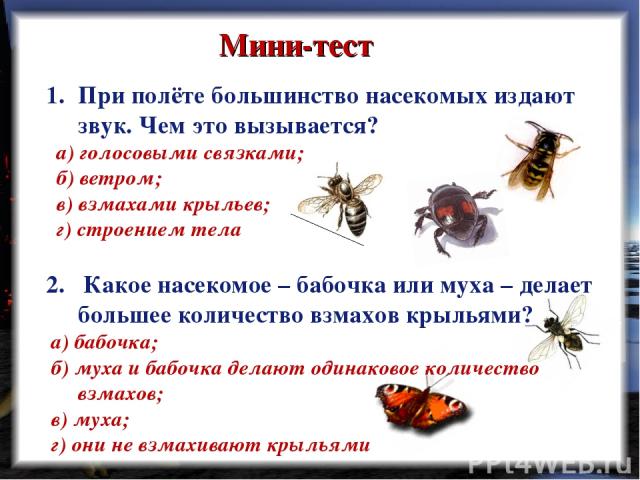 Мини-тест При полёте большинство насекомых издают звук. Чем это вызывается? а) голосовыми связками; б) ветром; в) взмахами крыльев; г) строением тела 2. Какое насекомое – бабочка или муха – делает большее количество взмахов крыльями? а) бабочка; б) …