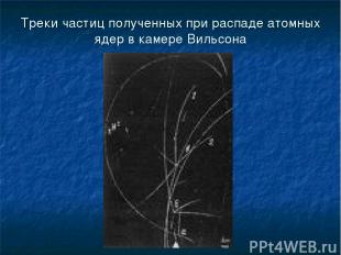Треки частиц полученных при распаде атомных ядер в камере Вильсона