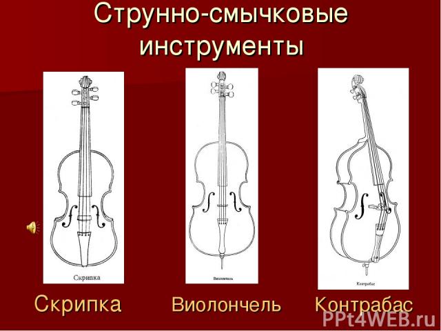 Струнно-смычковые инструменты Скрипка Виолончель Контрабас