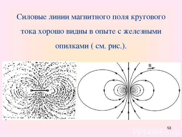 Силовые линии магнитного поля кругового тока хорошо видны в опыте с железными опилками ( см. рис.). *