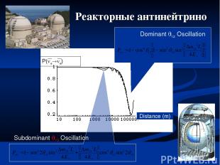 13 мая 2004 * С.П.Михеев Distance (m) P( e e) Dominant 12 Oscillation Subdominan