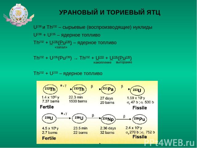 УРАНОВЫЙ И ТОРИЕВЫЙ ЯТЦ U238 и Th232 – сырьевые (воспроизводящие) нуклиды U238 + U235 – ядерное топливо Th232 + U235(Pu239) – ядерное топливо Th232 + U235(Pu239) → Th232 + U233 + U235(Pu239) Th232 + U233 – ядерное топливо накопление выгорание «запал»