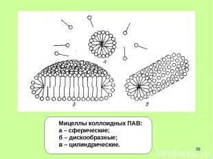 * Мицеллы коллоидных ПАВ: а – сферические; б – дискообразные; в – цилиндрические