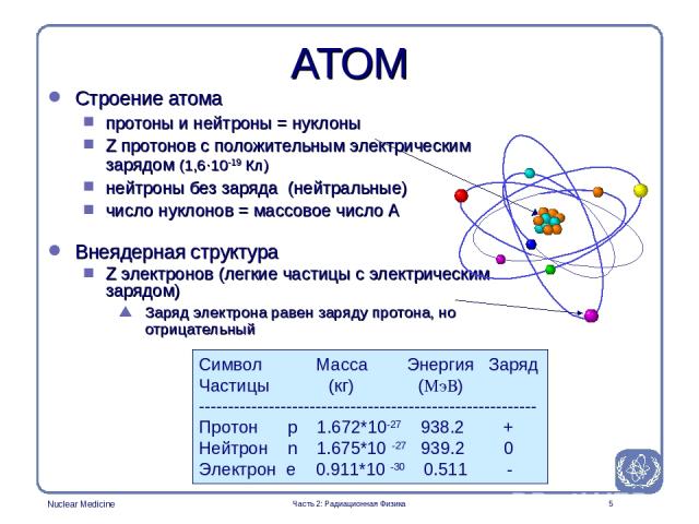 Часть 2: Радиационная Физика * АТОМ Строение атома протоны и нейтроны = нуклоны Z протонов с положительным электрическим зарядом (1,6·10-19 Кл) нейтроны без заряда (нейтральные) число нуклонов = массовое число A Внеядерная структура Z электронов (ле…