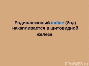 Радиоактивный iodine (ЙОД) накапливается в щитовидной железе