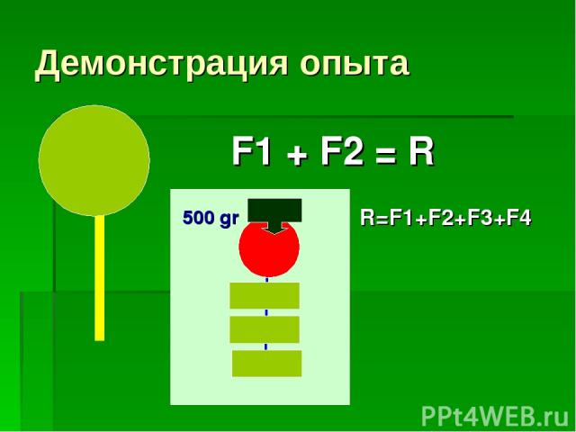 Демонстрация опыта F1 + F2 = R 500 gr R=F1+F2+F3+F4