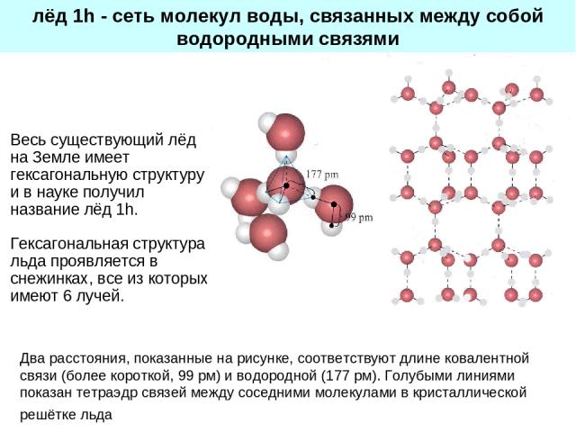 Два расстояния, показанные на рисунке, соответствуют длине ковалентной связи (более короткой, 99 рм) и водородной (177 рм). Голубыми линиями показан тетраэдр связей между соседними молекулами в кристаллической решётке льда лёд 1h - сеть молекул воды…