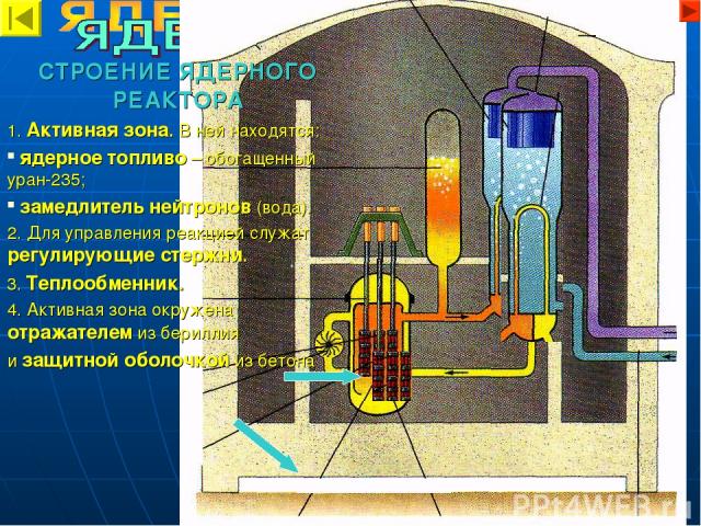 СТРОЕНИЕ ЯДЕРНОГО РЕАКТОРА 1. Активная зона. В ней находятся: ядерное топливо – обогащенный уран-235; замедлитель нейтронов (вода). 2. Для управления реакцией служат регулирующие стержни. 3. Теплообменник. 4. Активная зона окружена отражателем из бе…