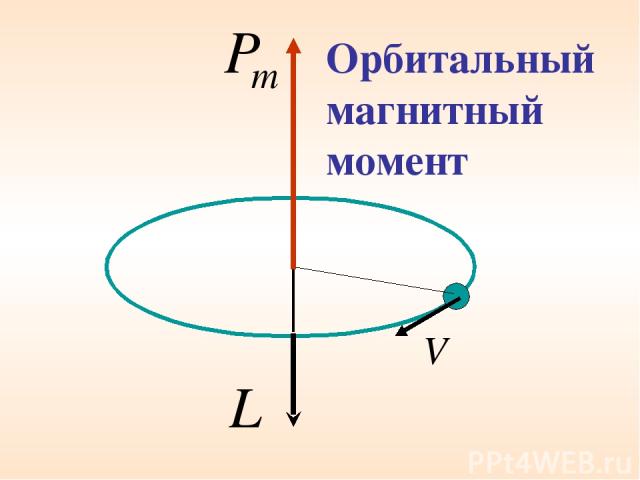 Орбитальный магнитный момент