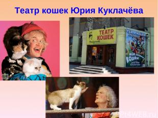 Театр кошек Юрия Куклачёва