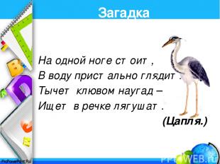 Интернет ресурсы: http://www.lenagold.ru/ - картинки-отгадки Загадки для детей: