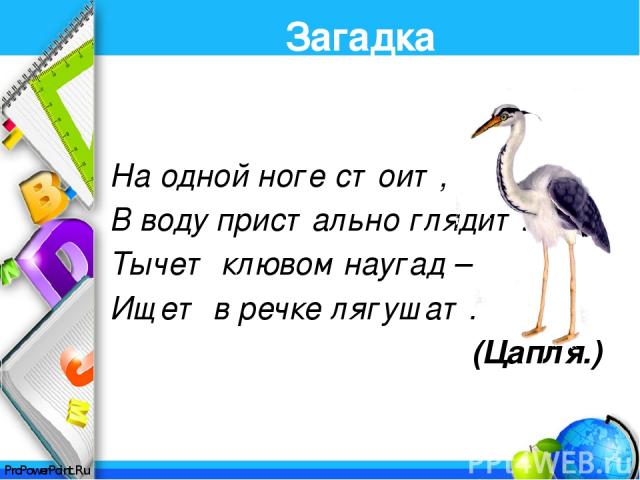 Интернет ресурсы: http://www.lenagold.ru/ - картинки-отгадки Загадки для детей: http://detkam.e-papa.ru/zagadki/ http://kladraz.ru/zagadki-dlja-detei http://slavclub.ru/zagadki/ ProPowerPoint.Ru