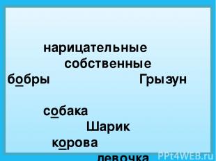 нарицательные собственные бобры Грызун собака Шарик корова девочка ученик река г