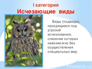 I категория Исчезающие виды Виды (подвиды), находящиеся под угрозой исчезновения