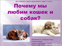 Презентация к уроку Окружающего мира "Почему мы любим кошек и собак?"; 1 класс