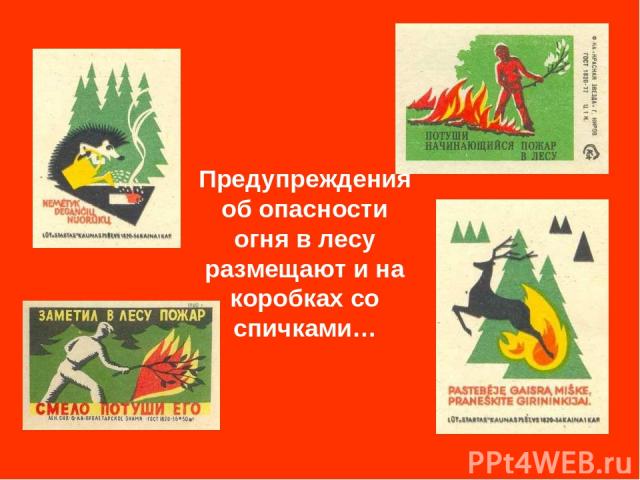 Предупреждения об опасности огня в лесу размещают и на коробках со спичками…