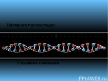 Спираль ДНК