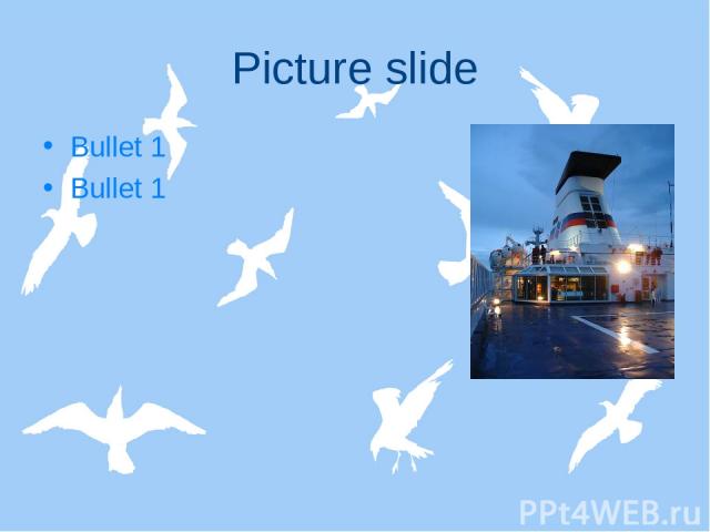 Picture slide Bullet 1 Bullet 1