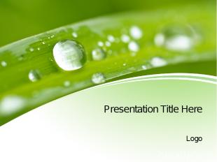 Presentation Title Here Logo