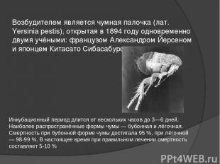 Возбудителем является чумная палочка (лат. Yersinia pestis), открытая в 1894 год