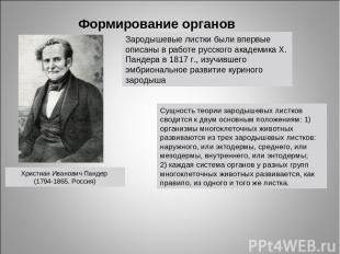 Формирование органов Христиан Иванович Пандер (1794-1865, Россия) Сущность теори