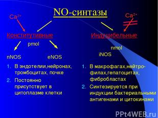 NO-синтазы Конститутивные Индуцибельные nNOS eNOS В эндотелии,нейронах, тромбоци