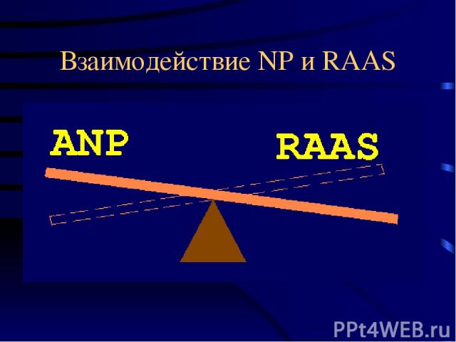 Взаимодействие NP и RAAS