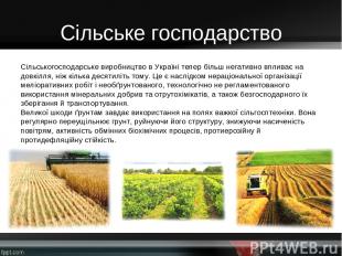 Сільське господарство Сільськогосподарське виробництво в Україні тепер більш нег