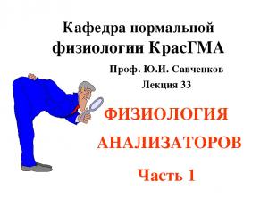 Кафедра нормальной физиологии КрасГМА Проф. Ю.И. Савченков Лекция 33 ФИЗИОЛОГИЯ