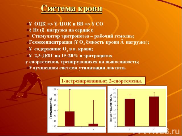 Система крови ↑ ОЦК => ↑ ЦОК и ВВ => ↑СО ↓Ht (↓ нагрузка на сердце); Стимулятор эритропоэза – рабочий гемолиз; Гемоконцентрация (↑О2 ёмкость крови ≈ нагрузке); ↑ содержание О2 в а. крови; ↑ 2,3-ДФГ на 15-20% в эритроцитах у спортсменов, тренирующихс…