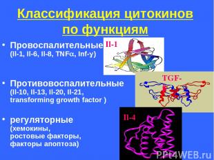 Классификация цитокинов по функциям Провоспалительные (Il-1, Il-6, Il-8, TNF , I