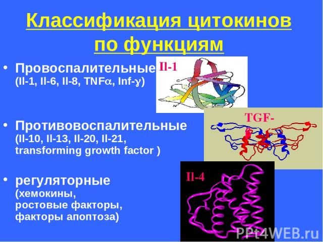 Классификация цитокинов по функциям Провоспалительные (Il-1, Il-6, Il-8, TNF , Inf- ) Противовоспалительные (Il-10, Il-13, Il-20, Il-21, transforming growth factor ) регуляторные (хемокины, ростовые факторы, факторы апоптоза)