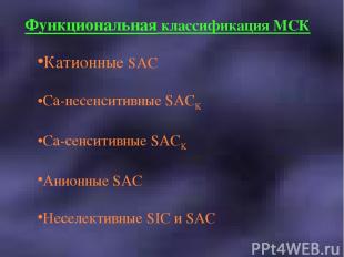 Функциональная классификация МСК Катионные SAC Ca-несенситивные SACK Ca-сенситив