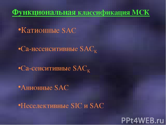 Функциональная классификация МСК Катионные SAC Ca-несенситивные SACK Ca-сенситивные SACK Анионные SAC Неселективные SIC и SAC