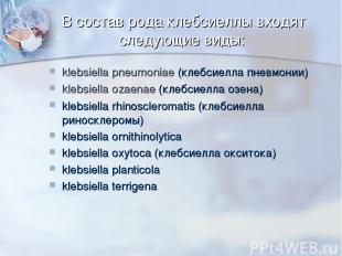В состав рода клебсиеллы входят следующие виды: klebsiella pneumoniae (клебсиелл
