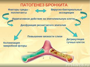 Факторы среды - поллютанты Дисфункция реснитчатого эпителия Ирритативное действи