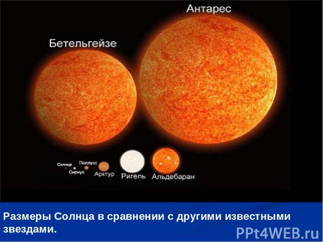Размеры Солнца в сравнении с другими известными звездами.