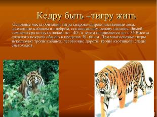Кедру быть –тигру жить Основные места обитания тигра кедрово-широколиственные ле